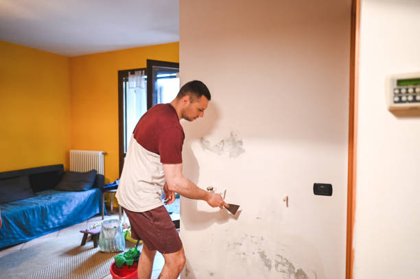 Best Affordable Mold Removal  in Bourg, LA